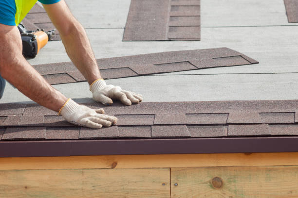 Best Roof Moss and Algae Removal  in Ladera Ranch, CA
